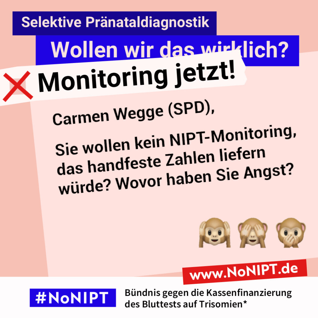 Grafik in Rosa, Rot und Blau zum Thema selektive Pränataldiagnostik. Oben steht: „Wollen wir das wirklich? Monitoring jetzt!“ Auf einer großen rosafarbenen Fläche steht: „Carmen Wegge (SPD), Sie wollen kein NIPT-Monitoring, das handfeste Zahlen liefert? Wovor haben Sie Angst? Daneben die drei Affen-Emojis: „Nichts hören, nichts sehen, nichts sagen“. Unten das Logo „#NoNIPT“ und der Schriftzug „Bündnis gegen die Kassenfinanzierung des Bluttests auf Trisomien*“.